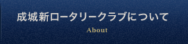ロータリークラブについて